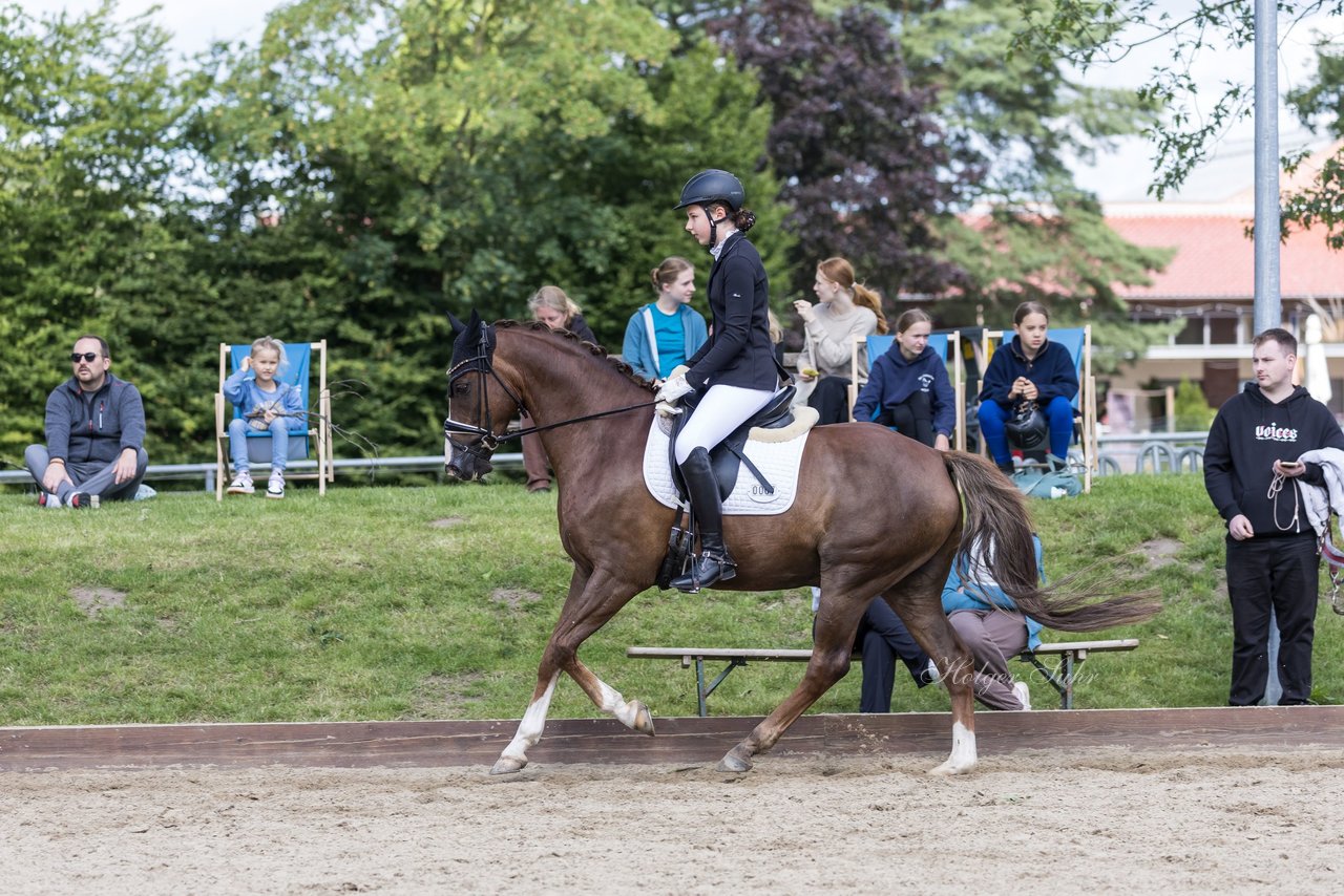 Bild 523 - Pony Akademie Turnier
